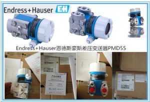 差压变送器PMD55 Endress+Hauser恩德斯豪斯